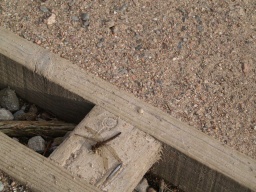 Image on trail